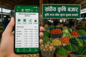 AMPIS Nepal मोबाइल एपमार्फत कृषि उपजको दैनिक थोक मूल्य जानकारी