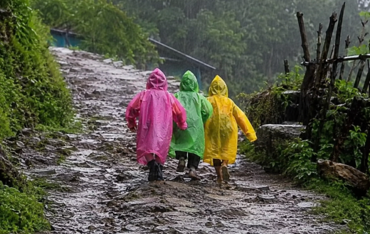 रेनकोटभित्रका ठूला सपना: रोल्पाका तीन बालिकाको १७ सेकेन्डको भिडियोले किन जित्यो संसारभरका दर्शकको मन?