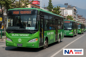 सरकार ‘ब्लु बस’ अवधारणाबाट पछि हट्यो, साझा यातायातका गाडी निलो बनाउने तयारी स्थगित
