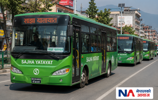 सरकार ‘ब्लु बस’ अवधारणाबाट पछि हट्यो, साझा यातायातका गाडी निलो बनाउने तयारी स्थगित
