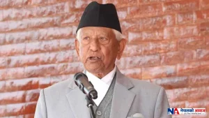 विदेशमा रहेको नेपालीको सम्पत्ति खोज्न विशेष टास्क फोर्स गठन गर्न सांसद केसीको प्रस्ताव