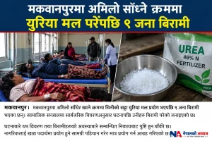 मकवानपुरमा अमिलो साँध्ने क्रममा युरिया मल परेपछि ९ जना बिरामी